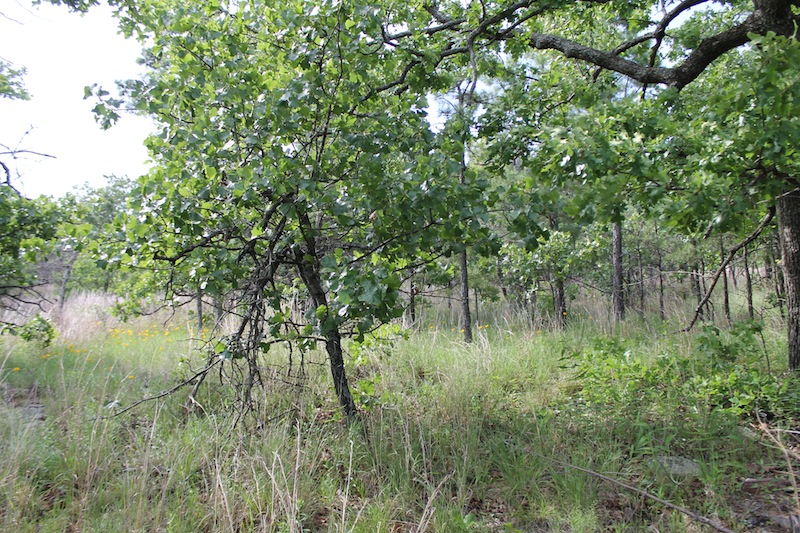 Tract 49 at Indian Ridge Phase II in Pittsburg County, Oklahoma