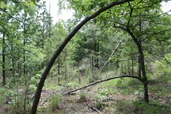 Indian Ridge Phase II Tract 59