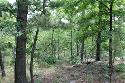 Indian Ridge Phase II Tract 59