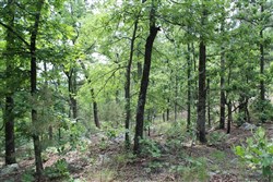 Indian Ridge Phase II Tract 59