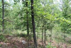 Indian Ridge Phase II Tract 59