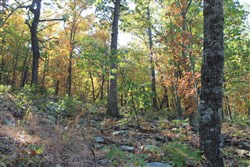 Indian Ridge Phase III Tract 107