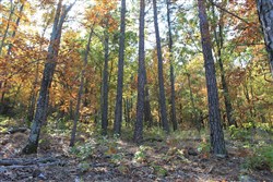 Indian Ridge Phase III Tract 107