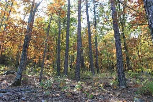 Indian Ridge Phase III Tract 107