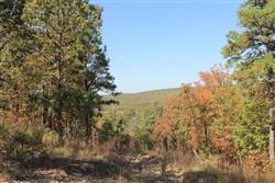 Indian Ridge Phase III Tract 107