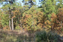 Indian Ridge Phase III Tract 107