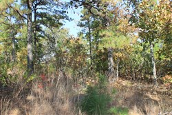 Indian Ridge Phase III Tract 113