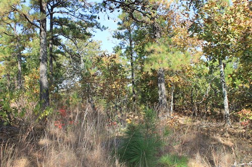 Indian Ridge Phase III Tract 113