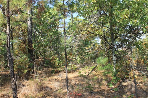 Indian Ridge Phase III Tract 113