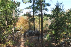 Indian Ridge Phase III Tract 113