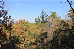 Indian Ridge Phase III Tract 113