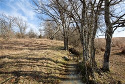 Painted Horse Tract 10