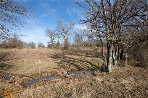 Painted Horse Tract 10