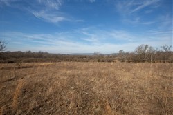 Painted Horse Tract 10