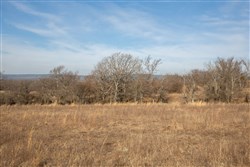 Painted Horse Tract 10