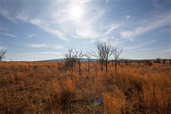 property photo for Painted Horse Tract 26, 6.29 acres for sale in Pittsburg County, Oklahoma