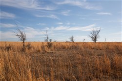 property photo for Painted Horse Tract 26, 6.29 acres for sale in Pittsburg County, Oklahoma