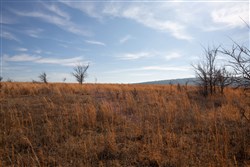 property photo for Painted Horse Tract 26, 6.29 acres for sale in Pittsburg County, Oklahoma
