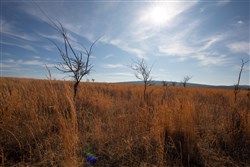 property photo for Painted Horse Tract 26, 6.29 acres for sale in Pittsburg County, Oklahoma
