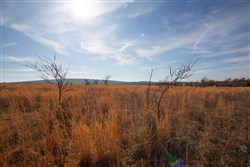 property photo for Painted Horse Tract 26, 6.29 acres for sale in Pittsburg County, Oklahoma