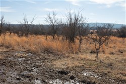 Painted Horse Tract 30
