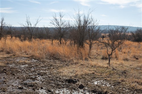 Painted Horse Tract 30
