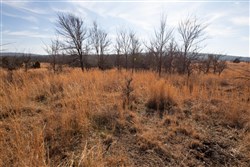 Painted Horse Tract 30