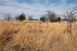 Painted Horse Tract 30