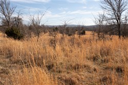Painted Horse Tract 30