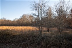 property photo for Painted Horse Tract 42, 5.35 acres for sale in Pittsburg County, Oklahoma