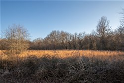 property photo for Painted Horse Tract 42, 5.35 acres for sale in Pittsburg County, Oklahoma