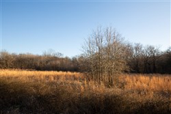 property photo for Painted Horse Tract 42, 5.35 acres for sale in Pittsburg County, Oklahoma