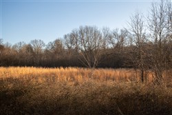 property photo for Painted Horse Tract 42, 5.35 acres for sale in Pittsburg County, Oklahoma
