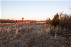 Painted Horse Tract 5