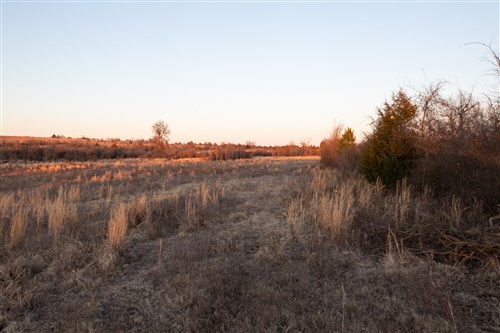 Painted Horse Tract 5