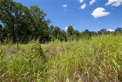 Paradise Valley Tract 20