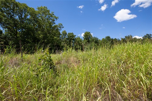 Paradise Valley Tract 20