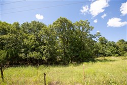 Paradise Valley Tract 20