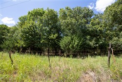 Paradise Valley Tract 20