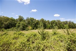 Paradise Valley Tract 22