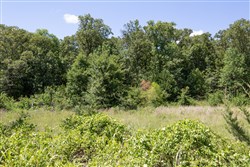 Paradise Valley Tract 22