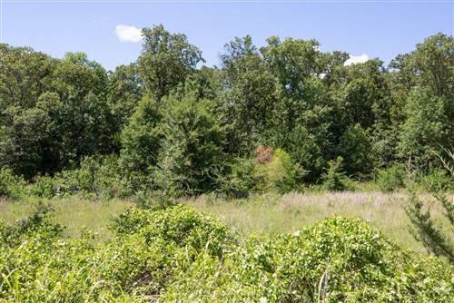 Paradise Valley Tract 22