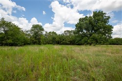 property photo for Paradise Valley Tract 3, 6.97 acres for sale in Pittsburg County, Oklahoma