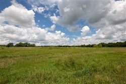 Paradise Valley Tract 4