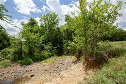 Paradise Valley Tract 4