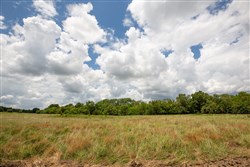 Paradise Valley Tract 7