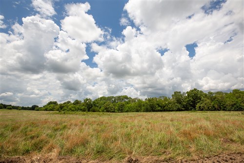 Paradise Valley Tract 7