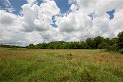 Paradise Valley Tract 7