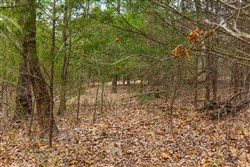 Reserves At Cattail Cove Phase I Tract 1