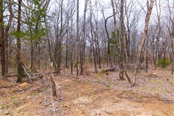 Reserves At Cattail Cove Phase I Tract 17